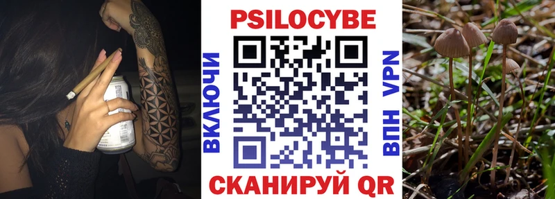 Псилоцибиновые грибы Magic Shrooms Воркута
